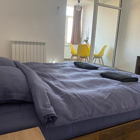 Turnu Măgurele Casa Cojocaru Bed & Breakfast エクステリア 写真