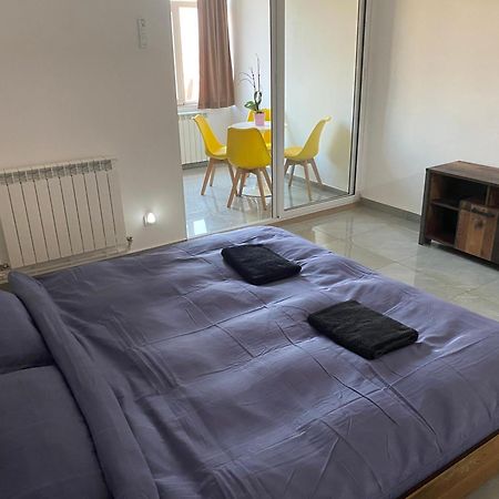 Turnu Măgurele Casa Cojocaru Bed & Breakfast エクステリア 写真