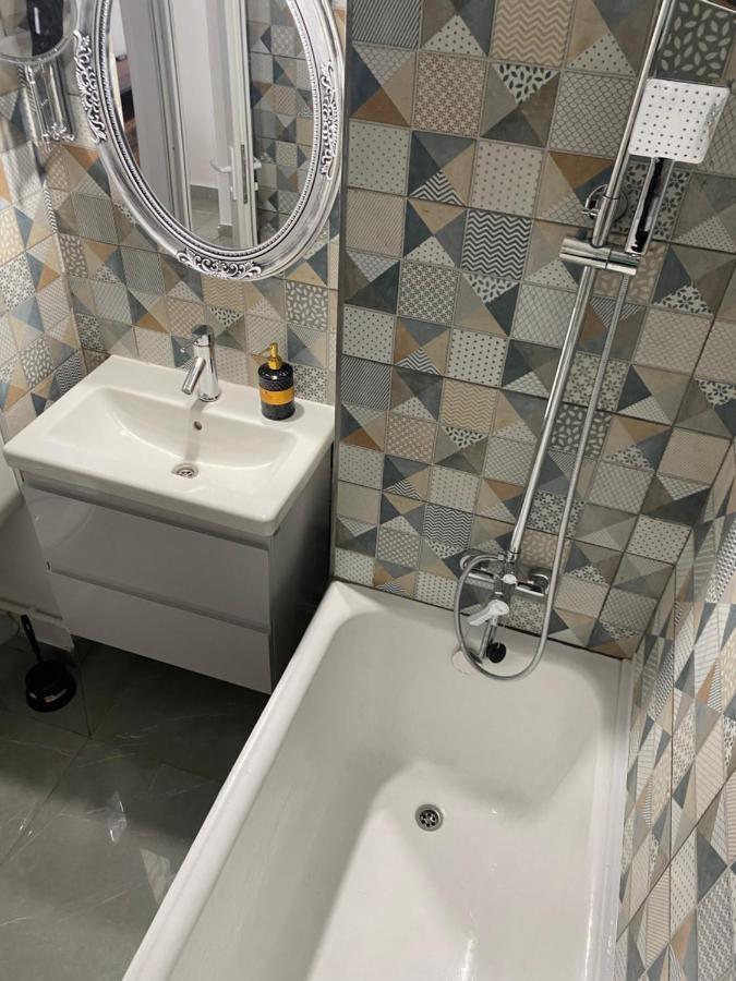 Turnu Măgurele Casa Cojocaru Bed & Breakfast エクステリア 写真