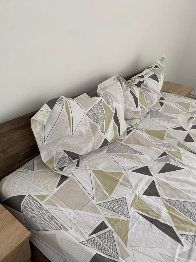 Turnu Măgurele Casa Cojocaru Bed & Breakfast エクステリア 写真