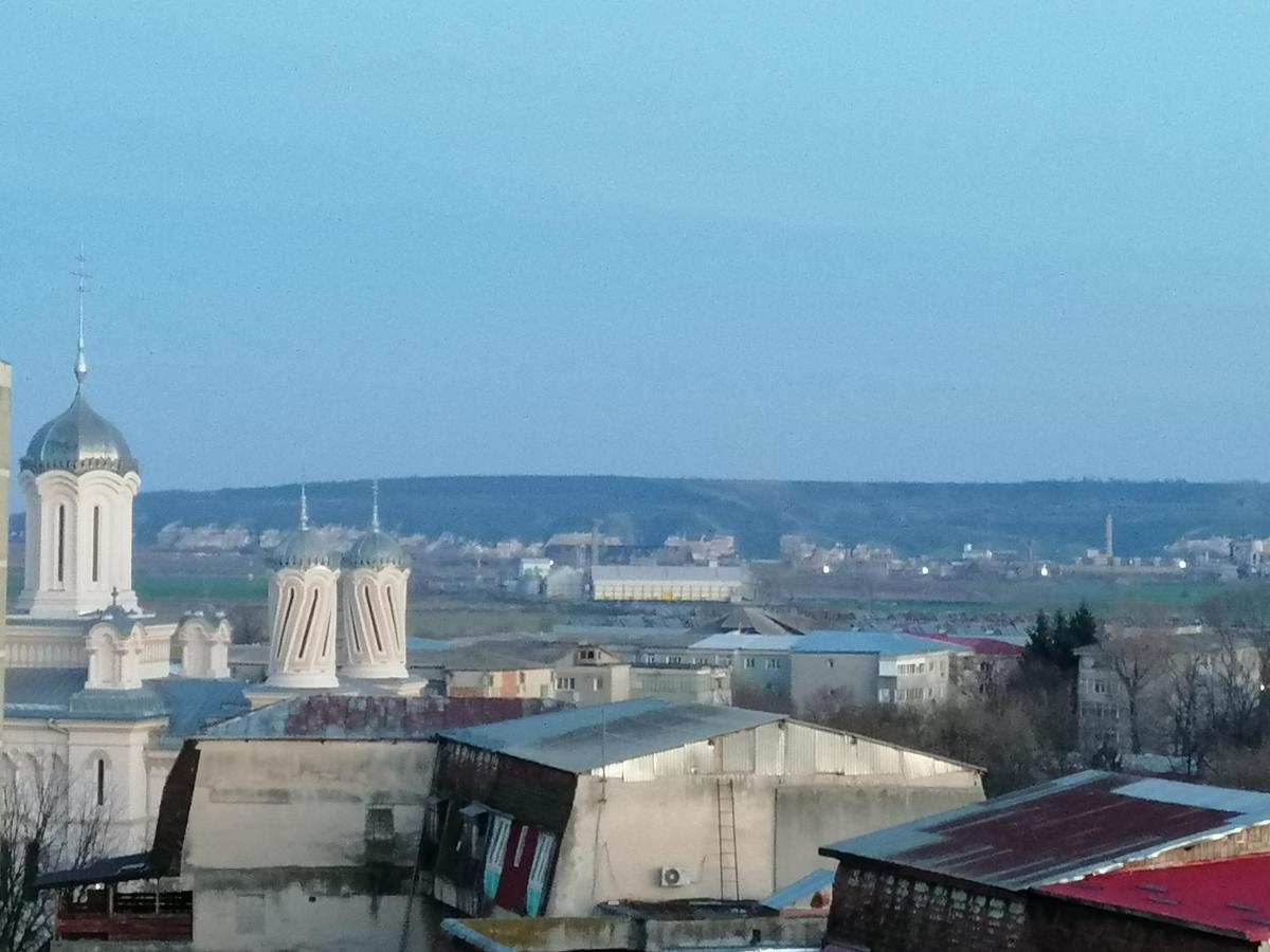 Turnu Măgurele Casa Cojocaru Bed & Breakfast エクステリア 写真