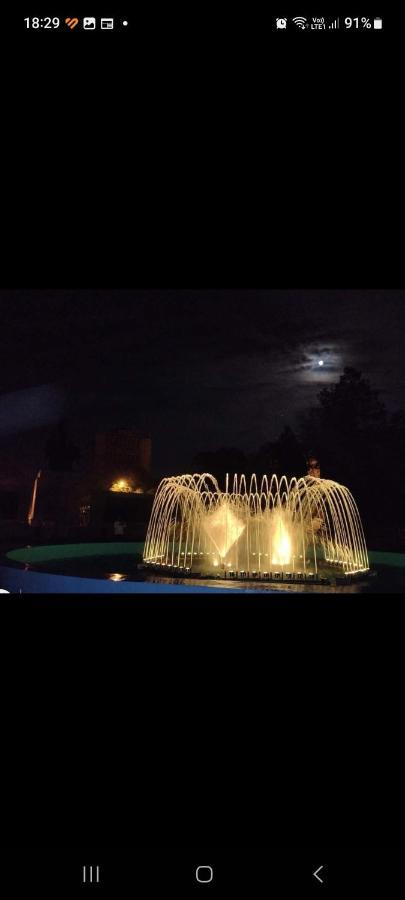 Turnu Măgurele Casa Cojocaru Bed & Breakfast エクステリア 写真