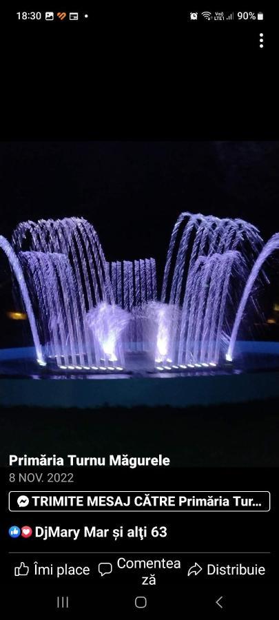 Turnu Măgurele Casa Cojocaru Bed & Breakfast エクステリア 写真