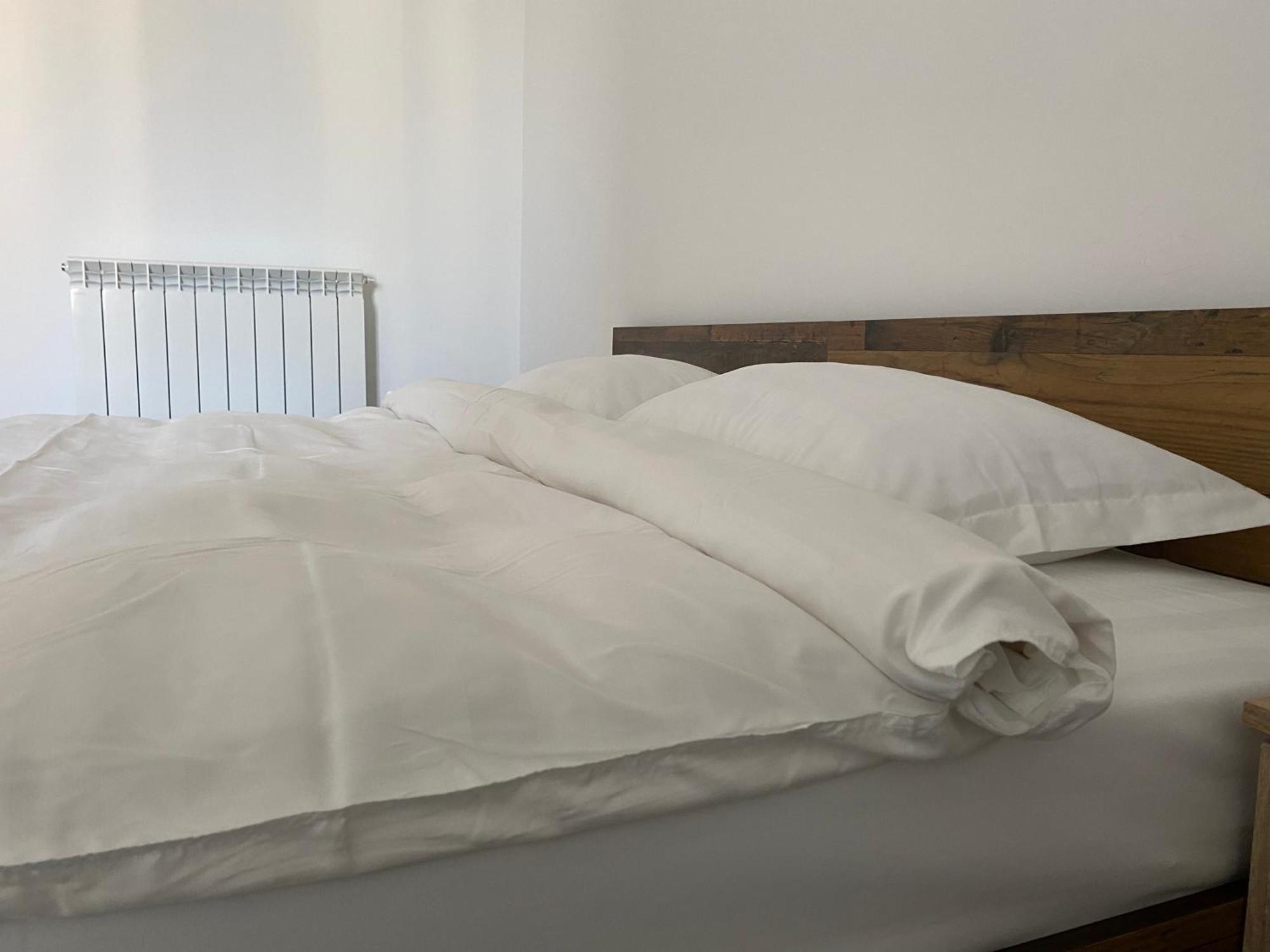 Turnu Măgurele Casa Cojocaru Bed & Breakfast エクステリア 写真